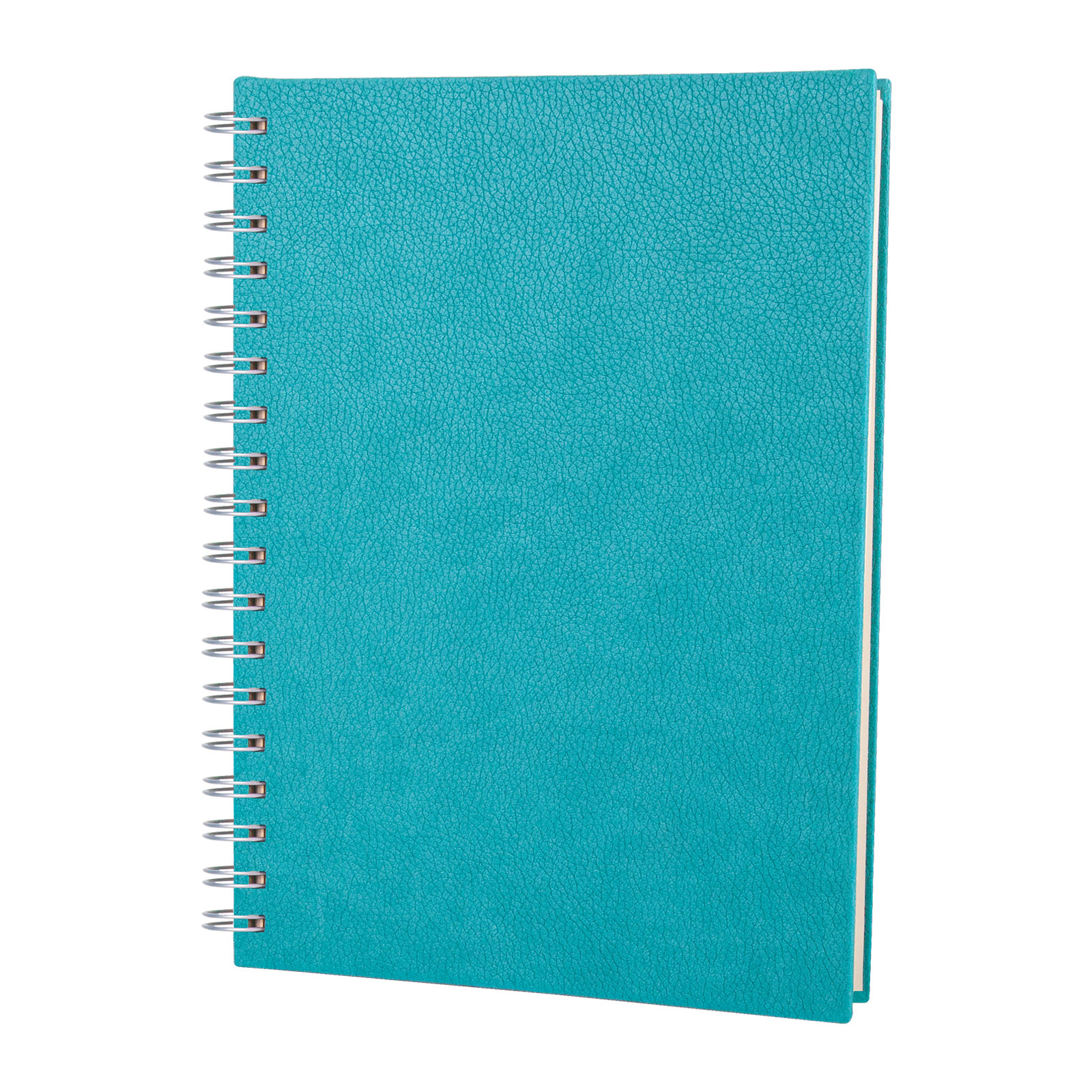 ELMADAĞ TURKUAZ TARİHLİ SPİRALLİ AJANDA (17X24 CM)